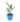 bird-of-paradise-flower-01_2.jpg