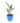 bird-of-paradise-flower-01_2.jpg