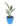 bird-of-paradise-flower-01_2.jpg