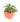philodendron-oxycardium-varigated-01_1_1.jpg